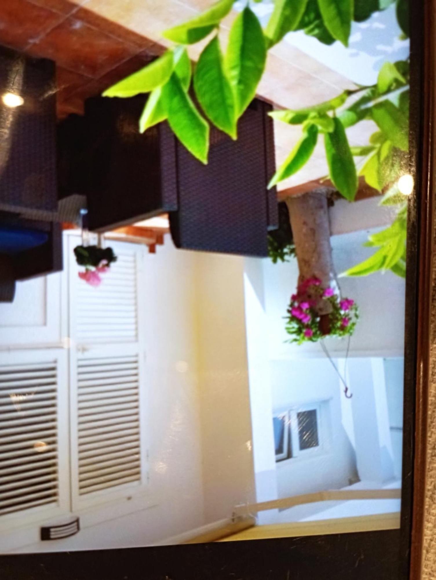Apartmani Trubi 1 Vodice Exterior photo